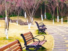 -重庆中央公园(渝北区)