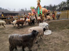 -黄龙溪欢乐田园