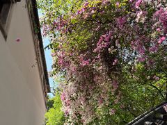 -深圳国际园林花卉博览园