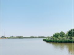 -西青郊野公园