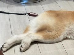 -YCHL Studios健身工作室(市二宫店)