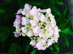 iphone_upload_pic-荆州博物馆