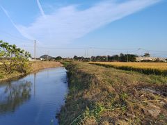 -上海佘山国家森林公园天马山园