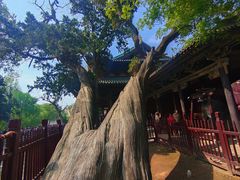 -晋祠博物馆