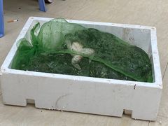 -汤氏美食台山水步特色黄鳝饭(龙津东路店)