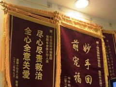 -悦宠凯宝动物医院·牙科·皮肤科(朝阳北路店)