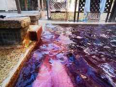 -春晖园度假酒店温泉