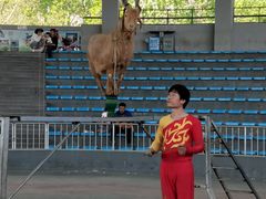 -石家庄市动物园