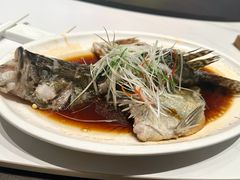 清蒸鲈鱼-万荣烤鸭店·北京菜(天坛店)