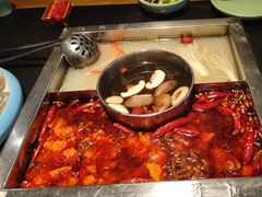 -蜀江龙火锅(339店)