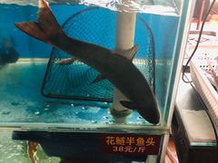 -鲜椒鱼·雅安地标性美食