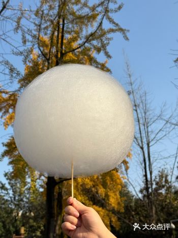 论棉花糖跟秋天的适配度有多高！！！！