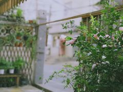 -隅cafe(傅厚岗店)