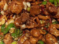 -俭寨大盘鸡·缸子肉·小公鸡·新疆菜(云通店)