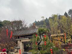-无锡梅园公园