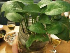 -小土豆北方菜馆(方庄店)