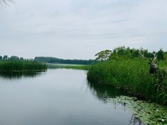 -溱湖国家湿地公园