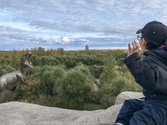-嘉荫恐龙国家地质公园