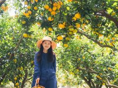 -滨江森林公园-真人CS野战场