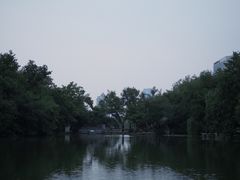 -浮庄