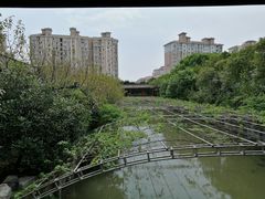 -南汇桃花村