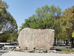 -溱湖国家湿地公园