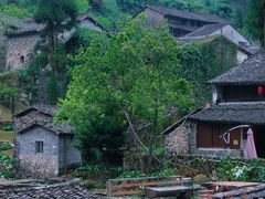 -MOJ coffee(瓯海泽雅水碓坑店)