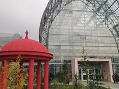 -南山植物园