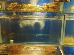 水产区-马路边上·小海鲜烧烤(八一路店)