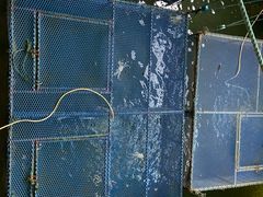 -君豪蟹都·湖景·农家乐(蟹舫苑店)