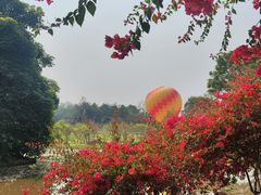 -中国科学院西双版纳热带植物园