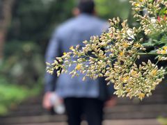 -宁波市保国寺古建筑博物馆