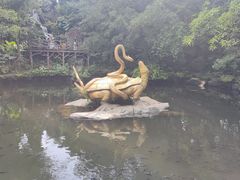 -海口火山口国家地质公园