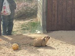 -茅山东方盐湖城景区