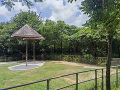 -深圳野生动物园