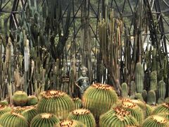-深圳仙湖植物园