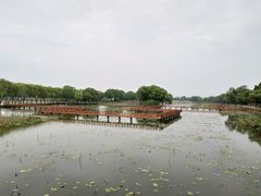 -洪湖生态旅游区