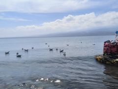 -青海湖国家重点风景名胜区