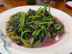 -全乐鱼馆·淳牌有机鱼直营店