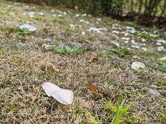 -中国天府农业博览园