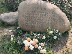 -鹅湖玫瑰文化园