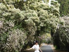 -国家植物园南园