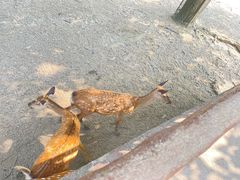 -扬州市茱萸湾风景区