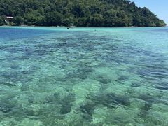 -东姑阿都拉曼海洋公园