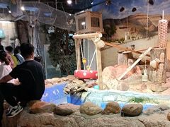 -正佳雨林生态植物园