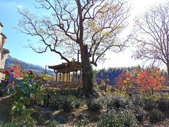 -塔川景区