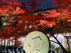 -西湖天地