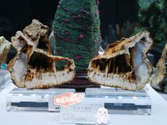 -湖南省地质博物馆