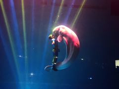 -芜湖新华联大白鲸海洋公园