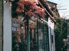 -喵屿·大理花园猫咖